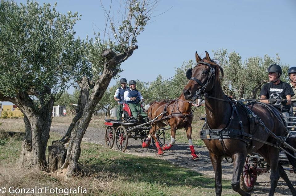 David Aramendía y Carmen Goiburu, Campeones Navarros de Enganches Completo en Troncos y Limoneras